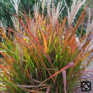 Meet your Posher, Barb